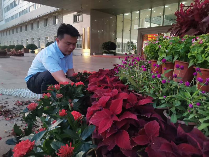 文章附图